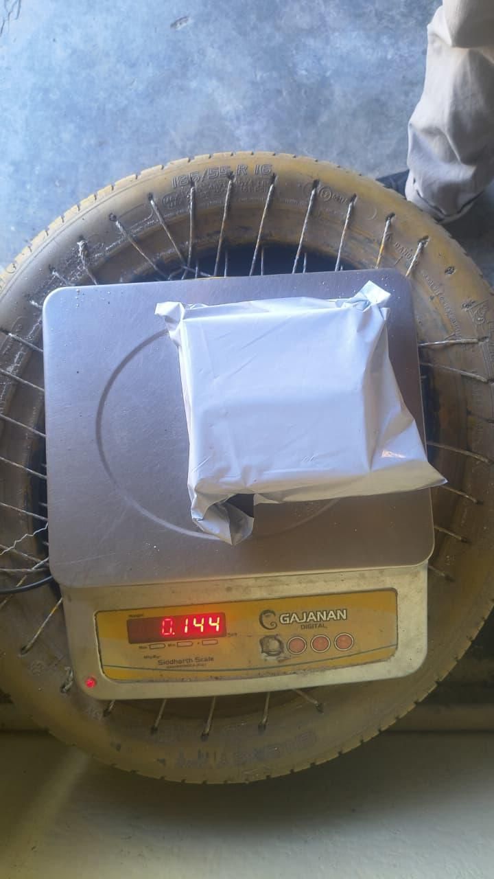 Lantana Camara Live Plant