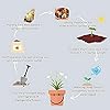 20956