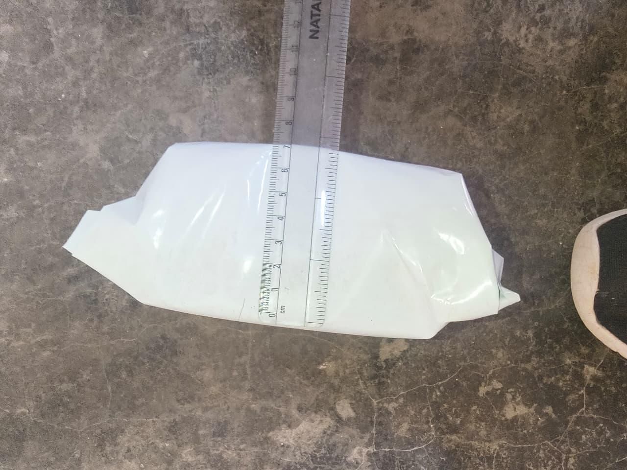 Kaner/Nerium Oleander Yellow Flower Plant