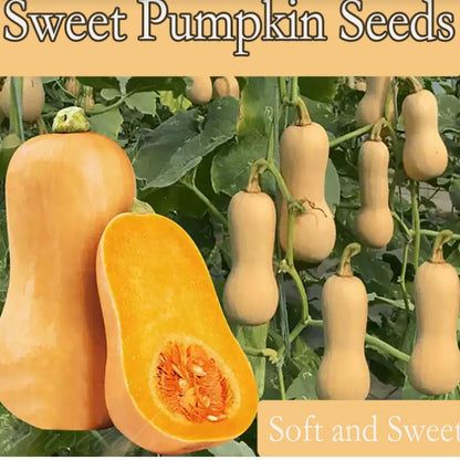 13770