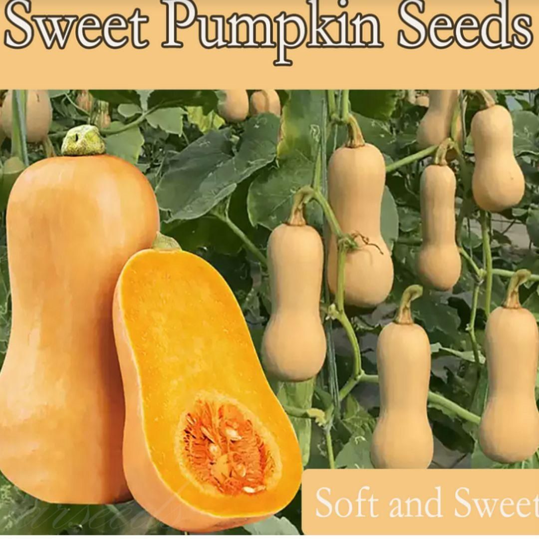 13770